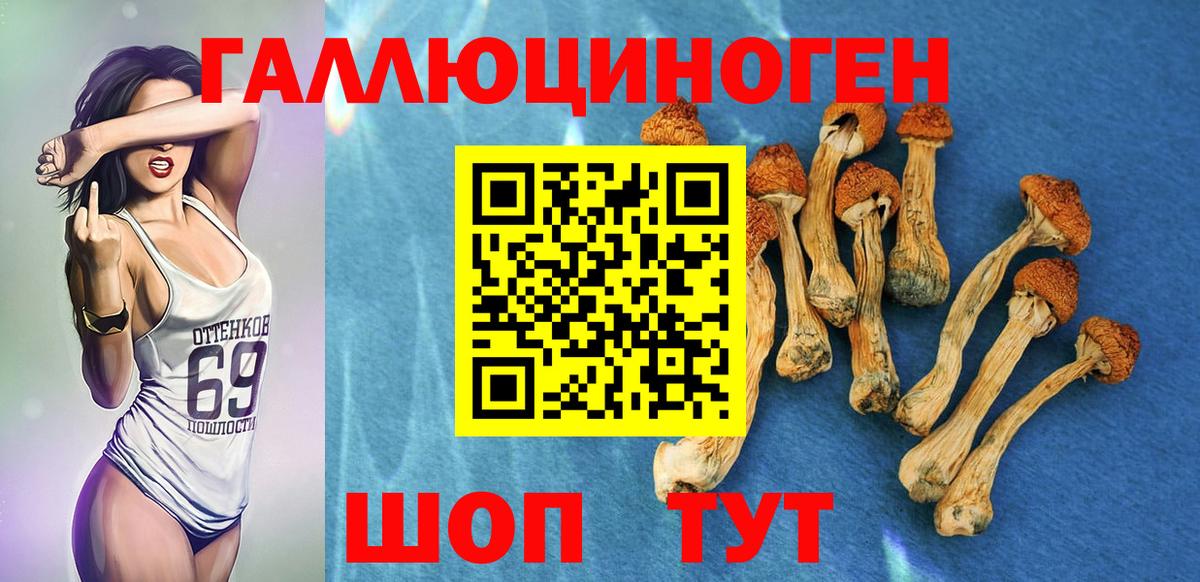 Псилоцибиновые грибы MAGIC MUSHROOMS  Псилоцибиновые грибы Cubensis  Барабинск  Вход с VPN 